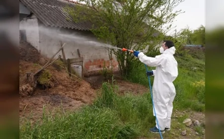 Düzce Belediyesi 63 Mahallede Larva ve Uçkunla Mücadeleyi Yıl Boyu Sürdürüyor