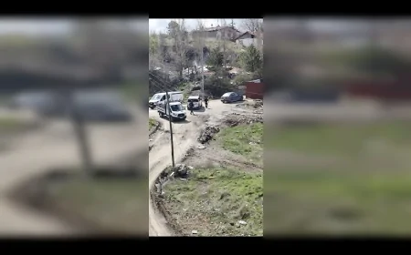 ÇANKAYA BELEDİYESİ DİKMEN KEKLİK PINARI CADDESİ’NDE SOKAK KÖPEKLERİNE YÖNELİK ÇALIŞMA GERÇEKLEŞTİRD