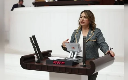 TBMM Başkanlık Divanı Üyesi CHP’li Dr. Müzeyyen Şevkin Adana’nın 15 İlçesi İçin Meclis Araştırması Talep Etti