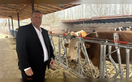 CHP Niğde Milletvekili Ömer Fethi Gürer: “Ette yüzde 93 yeterlilik varsa ithalat neden sürüyor”