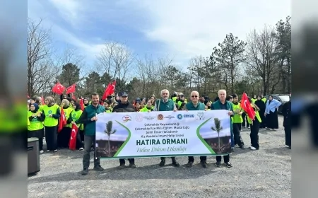 İstanbul Çekmeköy’de İmam Hatip Öğrencileri Hatıra Ormanı Oluşturdu