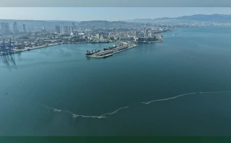 İzmir Büyükşehir Belediyesi: “Körfezde tespit edilen kirlilik vakaları kronik bir çevre krizine dönüştü”