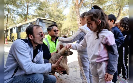 Bursa Büyükşehir Belediyesi 23 Nisan Etkinliğinde Çocukları Sokak Hayvanlarıyla Buluşturdu