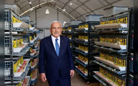 ORDU BÜYÜKŞEHİR BELEDİYE BAŞKANI DR MEHMET HİLMİ GÜLER: “FATSA ÜRETİM MERKEZİNE DÖNÜŞÜYOR GÖÇÜ TERSİNE ÇEVİRECEK ADIMLAR ATIYORUZ”