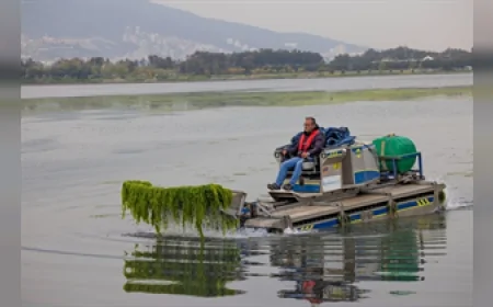 İZMİR KÖRFEZİ’NDE DENİZ MARULU ALARMI UZMANLAR GEDİZ HAVZASINI İŞARET ETTİ