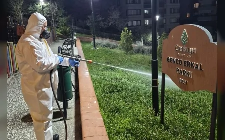 Çankaya Belediyesi 124 mahallede gece ilaçlamasıyla sinek ve haşereye karşı mücadeleyi artırdı