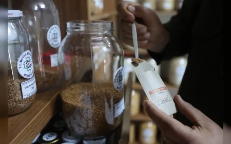 MUĞLA BÜYÜKŞEHİR BELEDİYESİ 3 MİLYON ATA TOHUMUNU 81 İLE ULAŞTIRDI