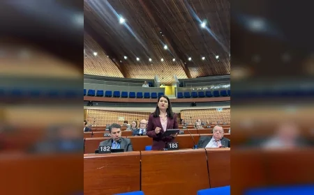 CHP Genel Başkan Yardımcısı Gökçe Gökçen: “Nefret söylemi demokrasinin başlıca düşmanıdır”