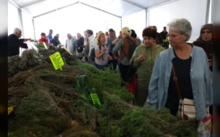 Çeşme Belediye Başkanı Lâl Denizli: “Alaçatı Ot Festivali’ni uluslararası düzeye taşımanın gururunu yaşıyoruz”