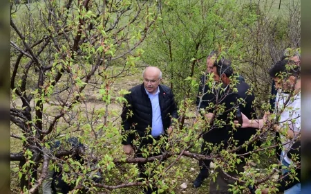 Malatya Büyükşehir Belediye Başkanı Sami Er dolu afetinden etkilenen ilçelerde incelemelerde bulundu