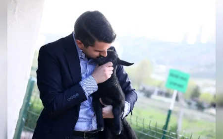 Çankaya Belediye Başkanı Hüseyin Can Güner Dodurga’da projeleri ve hayvan bakım merkezini yerinde inceledi