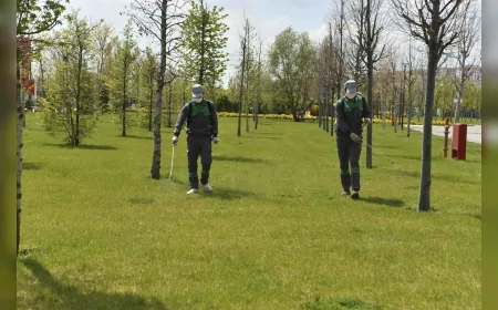 ANKARA BÜYÜKŞEHİR BELEDİYESİNDEN YAZ ÖNCESİ 7/24 İLAÇLAMA SEFERBERLİĞİ