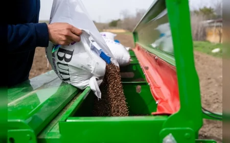GÖLBAŞI BELEDİYE BAŞKANI YAKUP ODABAŞI: “KARABUĞDAY ÜRETİMİYLE KIRSAL KALKINMAYI GÜÇLENDİRİYORUZ”