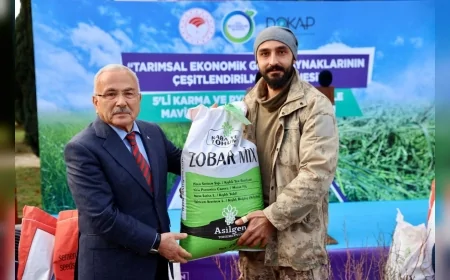 ORDU BÜYÜKŞEHİR BELEDİYESİ TARIM DESTEKLERİYLE 34 BİN 800 DEKAR ATIL ARAZİYİ ÜRETİME KAZANDIRDI