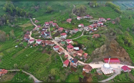 Ordu Büyükşehir Belediyesi Korgan Çamlı’da Yıllardır Beklenen Yol Çalışmasını Başlattı