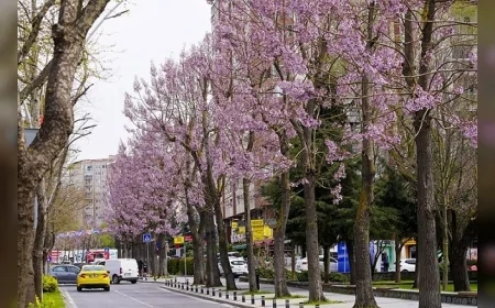 BEYLİKDÜZÜ’NDE BAHAR BAKIMI BAŞLADI PARK VE YEŞİL ALANLAR YAZA HAZIRLANIYOR