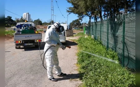 Maltepe Belediyesi Yaz Öncesi Sivrisinekle Mücadeleyi İlçe Genelinde Erken Başlattı