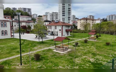 Ordu Büyükşehir Belediye Başkanı Mehmet Hilmi Güler Evkaf Mahallesi camilerini modern çevre düzenlemesiyle yeniledi