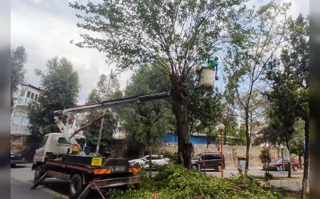 EFELER BELEDİYESİ PARK VE BAHÇELER EKİPLERİNDEN ÜÇ MAHALLEDE YOĞUN TEMİZLİK VE BAKIM ÇALIŞMASI