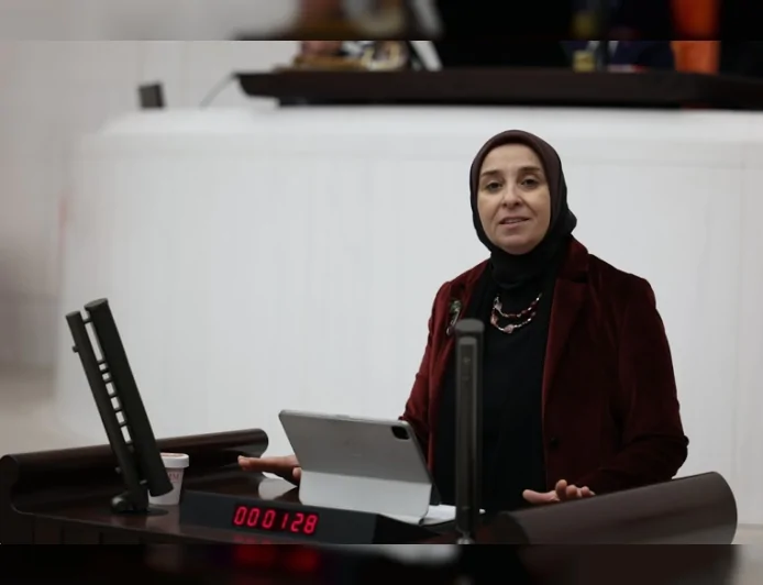 DEVA Partisi Genel Başkan Yardımcısı Elif Esen: “Dijital şiddetle mücadelede uluslararası uyum güçlendirilmeli”