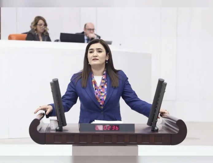 CHP İzmir Milletvekili Av. Sevda Erdan Kılıç: “Okullarda yaşanan silahlı saldırılar artık münferit değil”