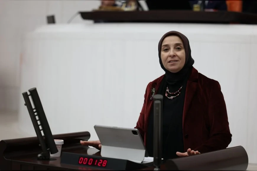 DEVA Partisi Genel Başkan Yardımcısı Elif Esen: “Dijital şiddetle mücadelede uluslararası uyum güçlendirilmeli”