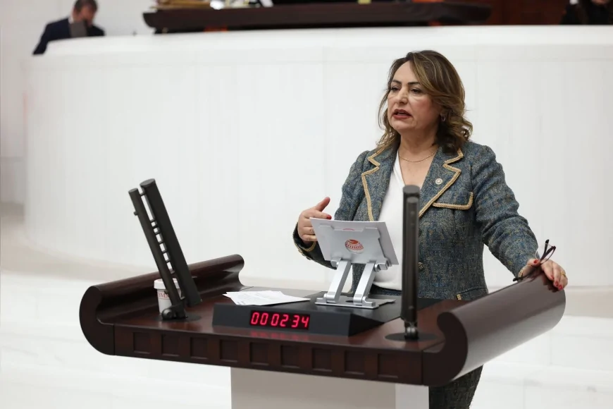 TBMM Başkanlık Divanı Üyesi CHP’li Dr. Müzeyyen Şevkin Adana’nın 15 İlçesi İçin Meclis Araştırması Talep Etti