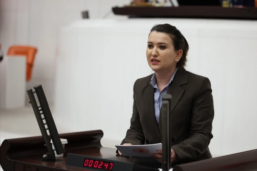 CHP Genel Başkan Yardımcısı Gökçe Gökçen: “AİHM kararlarının uygulanmamasının hukuki değil siyasi nedeni var”