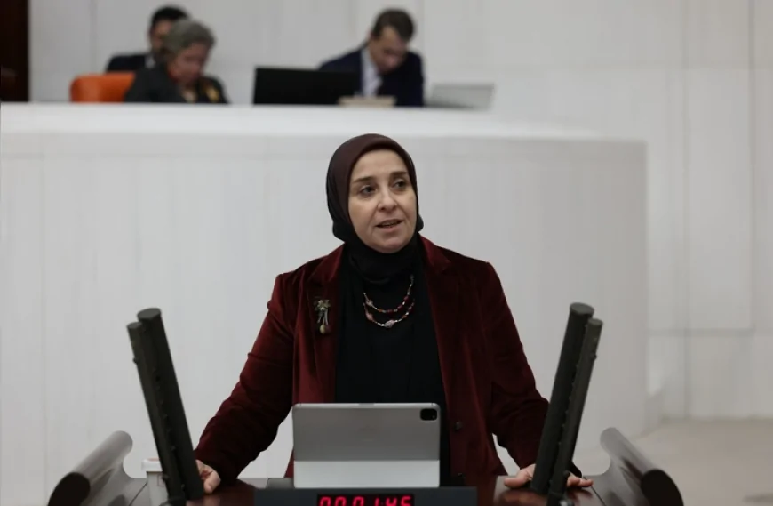 DEVA Partisi Genel Başkan Yardımcısı Elif Esen: “Enerji krizi doğrudan gıda krizine dönüşüyor”