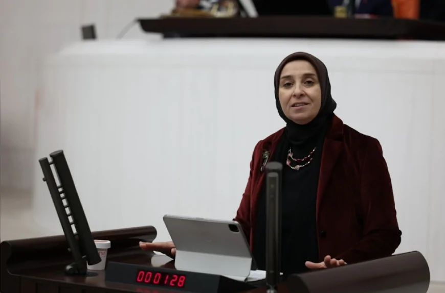 DEVA Partisi Genel Başkan Yardımcısı Elif Esen: “Dijital şiddetle mücadelede uluslararası uyum güçlendirilmeli”