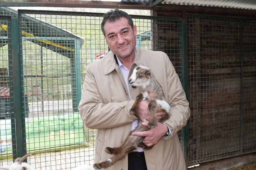 Giresun Belediye Başkanı Fuat Köse: “Tüm hemşehrilerimi can dostlara karşı duyarlı olmaya davet ediyorum”