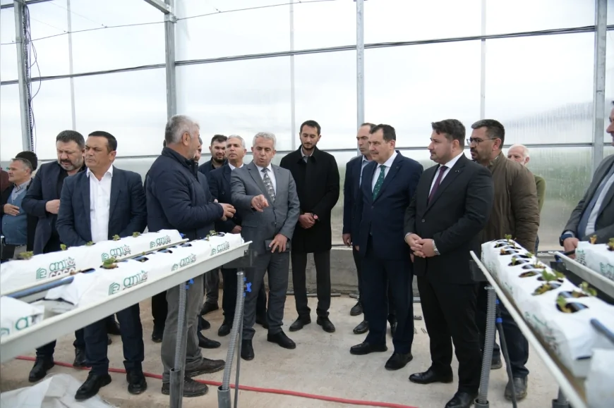 Kahramankazan Belediyesi Termal Serada Üretimi Başlattı İlk Çilek Fideleri Toprakla Buluştu