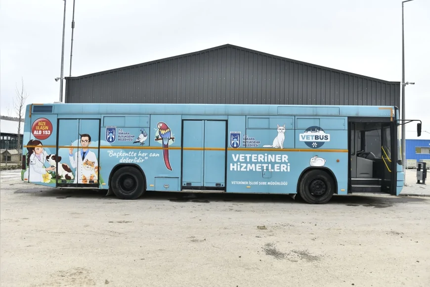 Ankara Büyükşehir Belediyesi Başkent’te 8 Milyonu Aşkın Sokak Hayvanına Veterinerlik Hizmeti Sundu
