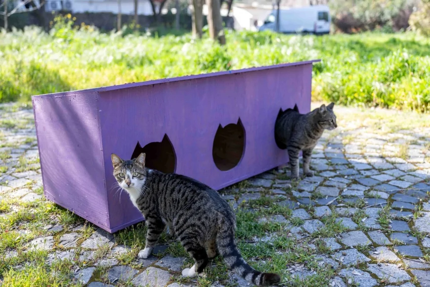 Bornova Belediye Başkanı Ömer Eşki: “Kedili Park’ı güvenli ve sağlıklı bir yaşam alanına dönüştürdük”