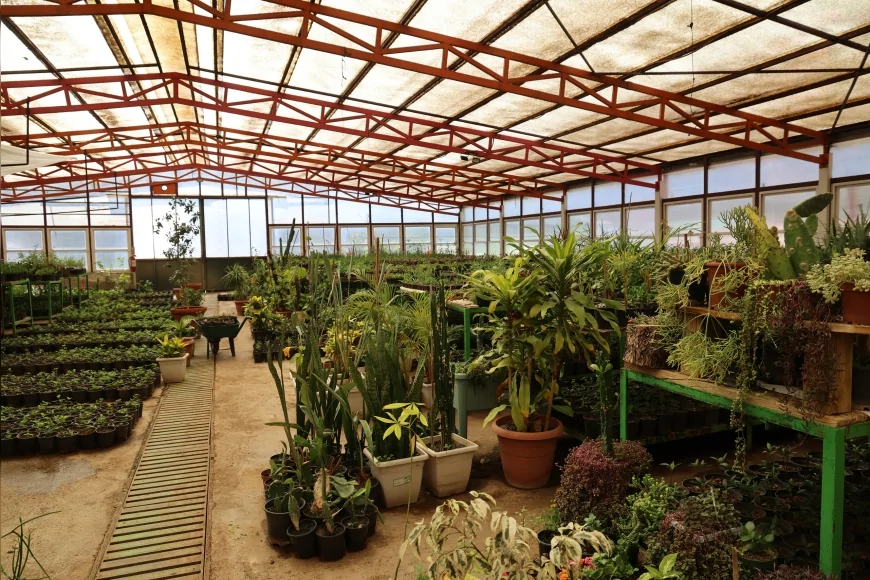 Marmaris Belediyesi seralarda ürettiği yüz binlerce bitkiyle 23 milyon TL tasarruf sağladı