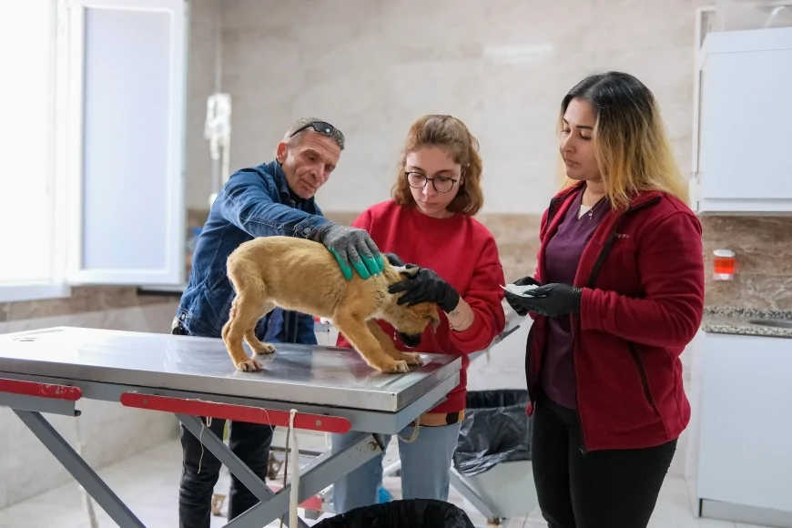 Menemen Belediye Başkanı Aydın Pehlivan: “50 bini aşkın can dostun tedavisini gerçekleştirdik”