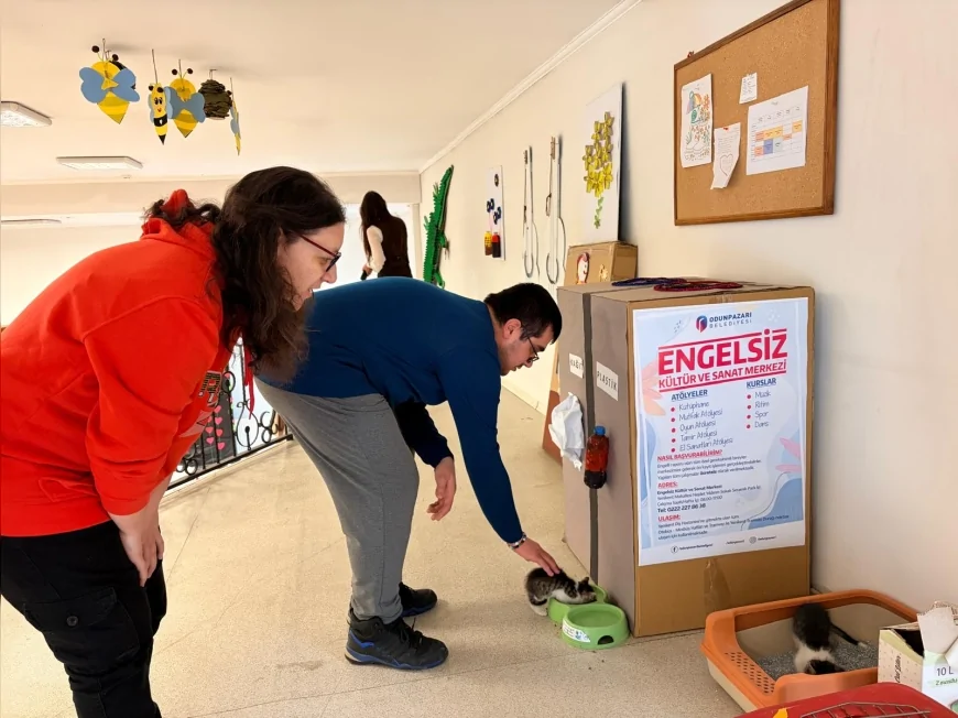ODUNPAZARI BELEDİYESİ DÜNYA SOKAK HAYVANLARI GÜNÜNDE ÖZEL ÇOCUKLARI SAHİPSİZ KEDİLERLE BULUŞTURDU