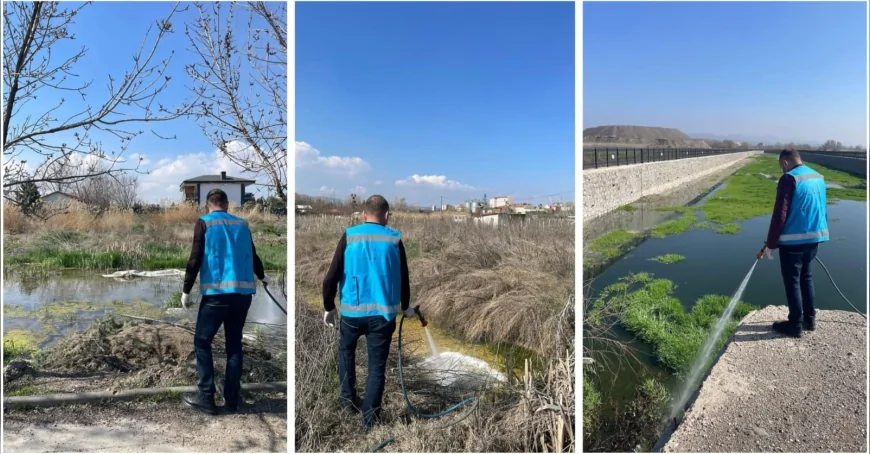 Kahramankazan Belediyesi bahar aylarında artan haşerelere karşı ilçe genelinde yoğun ilaçlama çalışması başlattı
