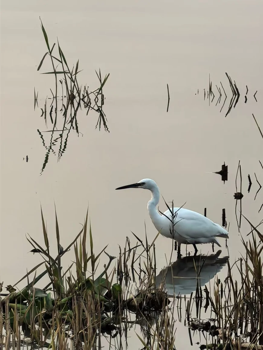 Karşıyaka Belediyesi Kardeş Kadrajlar Uluslararası Fotoğraf Yarışması sonuçlandı