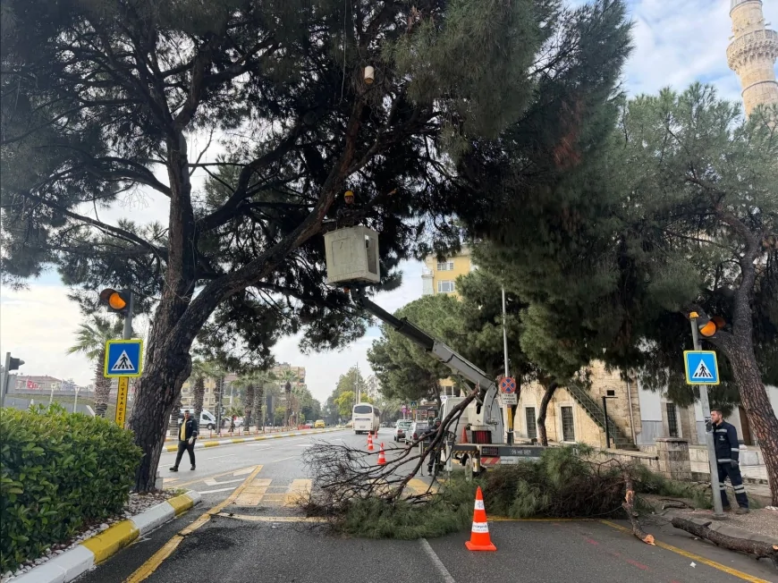 Aydın Büyükşehir Belediye Başkanı Özlem Çerçioğlu: “Yeşil dokuyu korumak için çalışmalarımızı sürdüreceğiz”