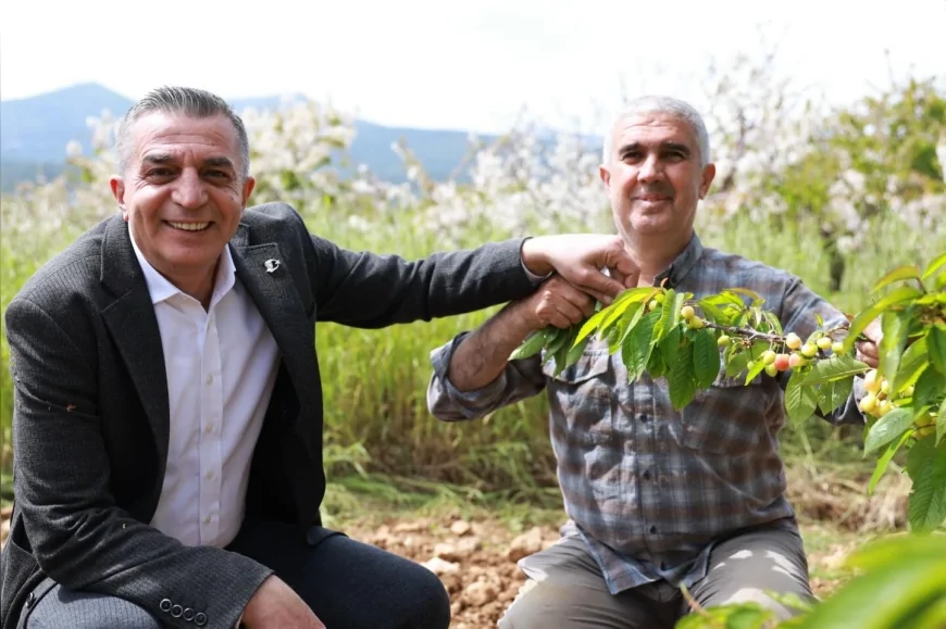 Şehzadeler Belediye Başkanı Hakan Şimşek erkenci kiraz hasadı öncesi üreticilerle buluştu