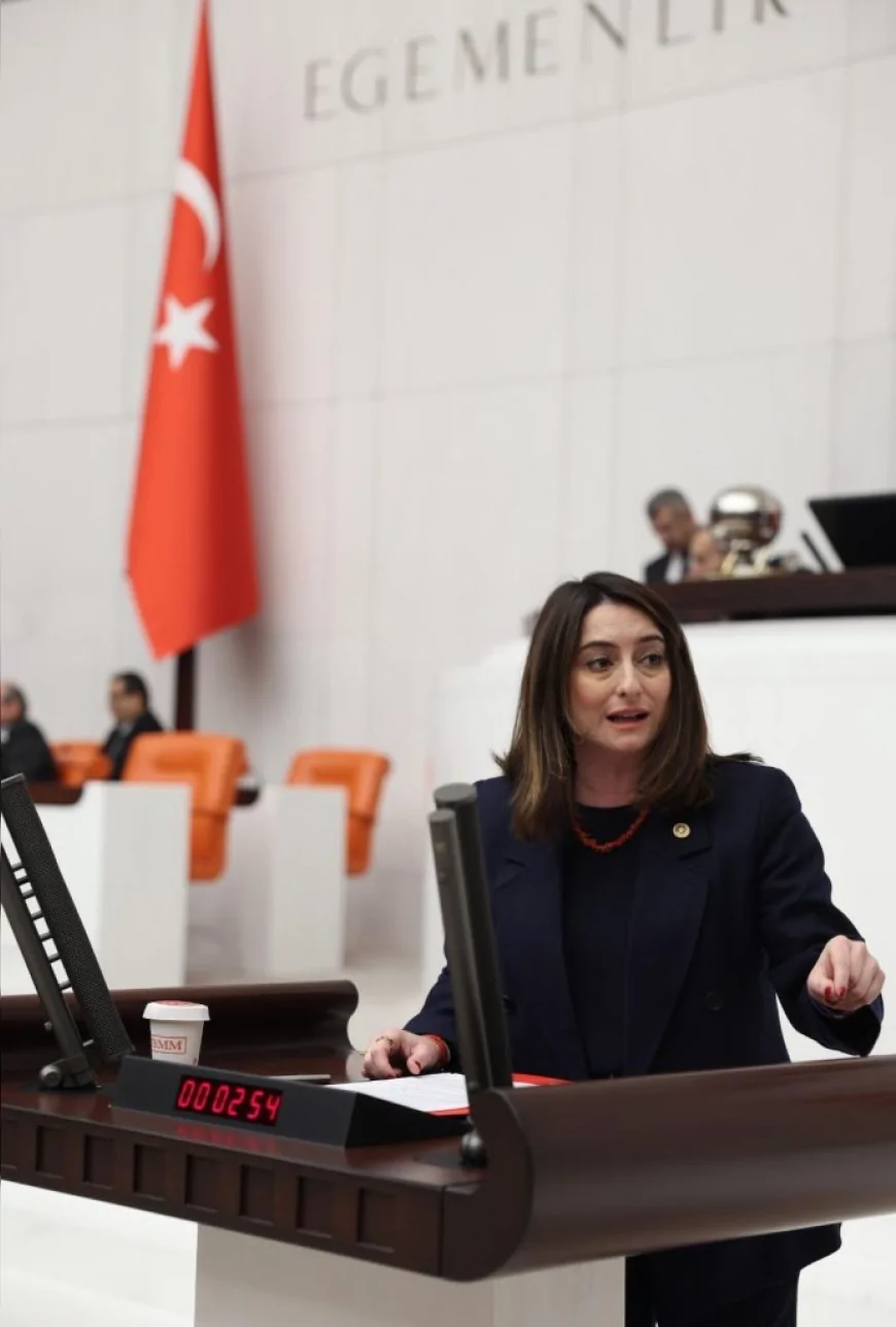 CHP Bartın Milletvekili Aysu Bankoğlu: “Çocukların hayatını kaybettiği bu felaketin sorumluları istifa etmelidir”