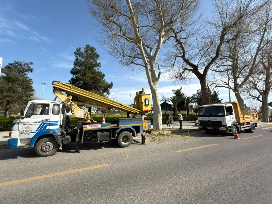 Yalova Belediyesi kent genelinde temizlik ve bakım çalışmalarını aralıksız sürdürüyor