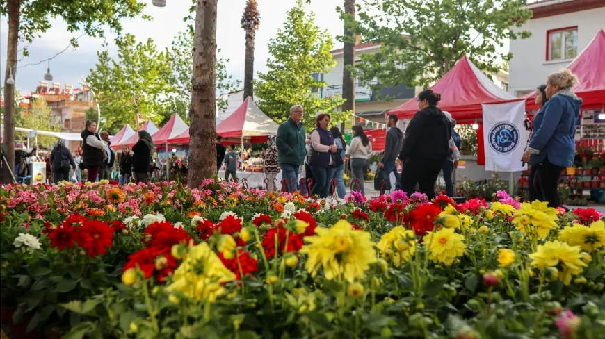 Bayındır’da 27. Uluslararası Çiçek Festivali başlıyor üretici ve vatandaş dört gün boyunca buluşacak