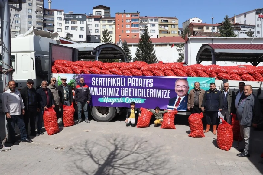 ORDU BÜYÜKŞEHİR BELEDİYESİ 6 İLÇEDE ÜRETİCİLERE 45 TON TOHUMLUK PATATES DAĞITTI