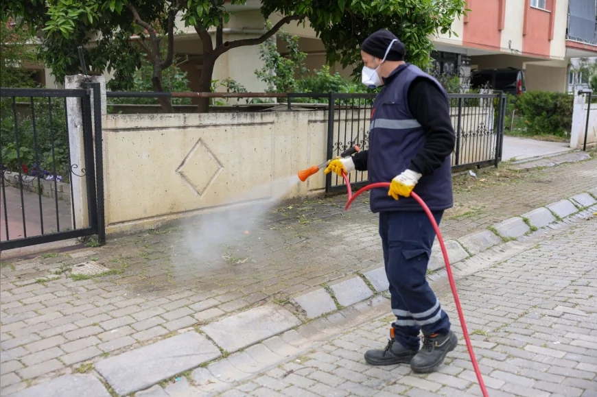 EFELER’DE YABANCI OTLAR TEMİZLENİYOR KENT ESTETİĞİ VE HALK SAĞLIĞI İÇİN ÇALIŞMALAR HIZ KAZANDI