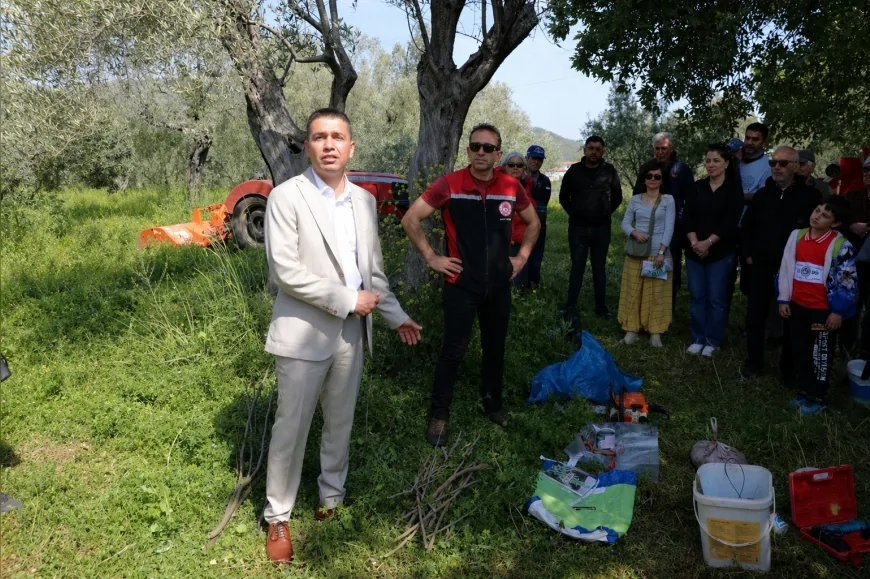 SEFERİHİSAR’DA ZEYTİN ÜRETİCİLERİNE YÖNELİK UYGULAMALI BUDAMA VE AŞILAMA EĞİTİMİ DÜZENLENDİ