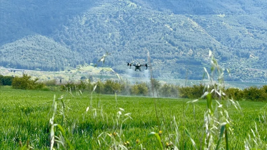AYDIN’DA ÜRETİCİLERE DRONE İLE ÜCRETSİZ GÜBRELEME DESTEĞİ YAYGINLAŞIYOR