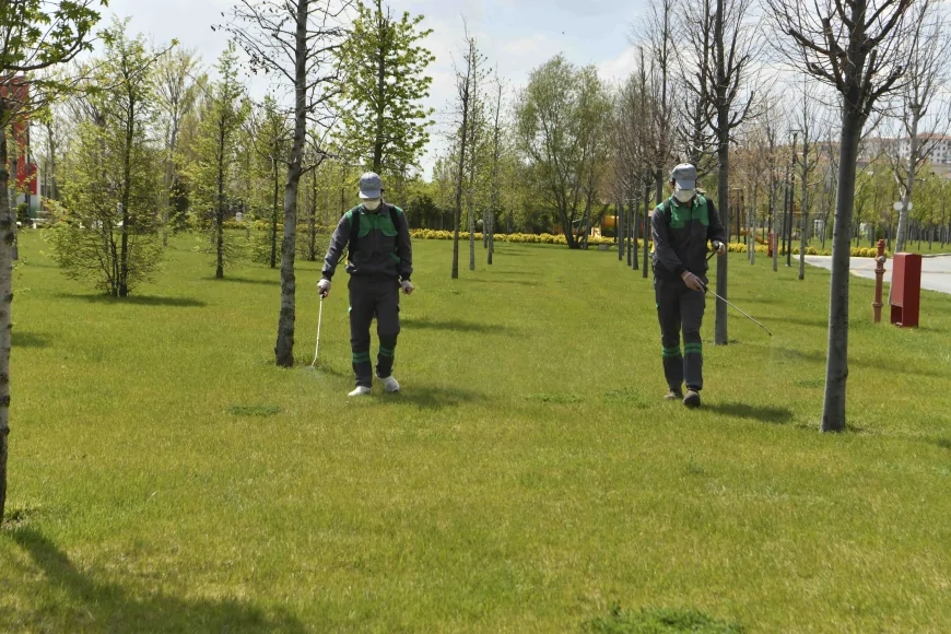 ANKARA BÜYÜKŞEHİR BELEDİYESİNDEN YAZ ÖNCESİ 7/24 İLAÇLAMA SEFERBERLİĞİ