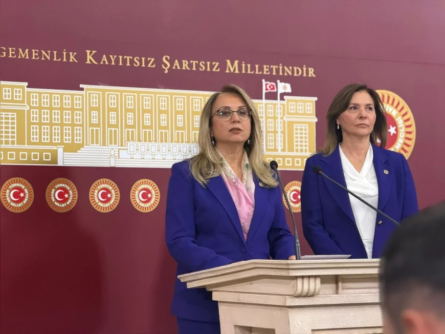 MHP Grup Başkanvekili Filiz Kılıç: “Alın teri kurumadan işçinin hakkı eksiksiz teslim edilmelidir”